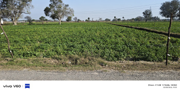 Property for sale in Etmadpur, Agra