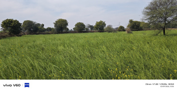 7 Bigha Residential Plot for Sale in NH 2, Agra