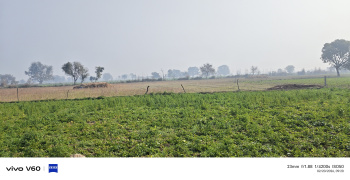 10 Bigha Agricultural/Farm Land for Sale in Etmadpur, Agra