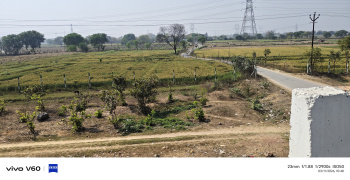 1 Bigha Agricultural/Farm Land for Sale in Fatehabad Road, Agra