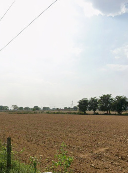 Agricultural/Farm Land for Sale in Nagla Sabla, Agra (4 Bigha)