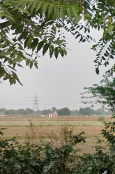 Agricultural/Farm Land for Sale in Fatehabad Road, Agra (3 Bigha)