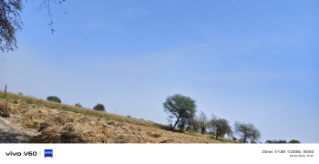 Agricultural/Farm Land for Sale in Etmadpur, Agra (45 Bigha)