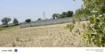 Agricultural/Farm Land for Sale in Etmadpur, Agra (1 Bigha)