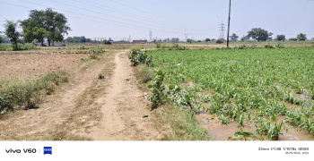Agricultural/Farm Land for Sale in Etmadpur, Agra (1 Bigha)