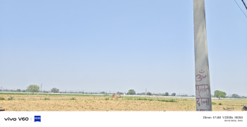 Agricultural/Farm Land for Sale in Etmadpur, Agra (5 Bigha)