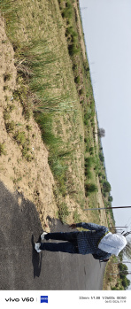 80 Bigha Agricultural/Farm Land for Sale in Firozabad Road, Agra
