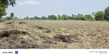 Agricultural/Farm Land for Sale in Raipura Jat, Mathura (8 Bigha)