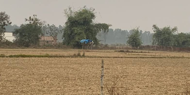 1 Acre Agricultural/Farm Land For Sale In Manesar, Gurgaon