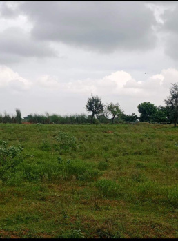 22 Bigha Agricultural/Farm Land for Sale in Fagi, Jaipur