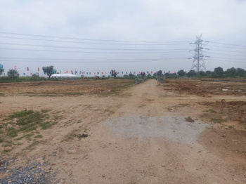 5.5 Bigha Agricultural/Farm Land for Sale in Chaksu, Jaipur