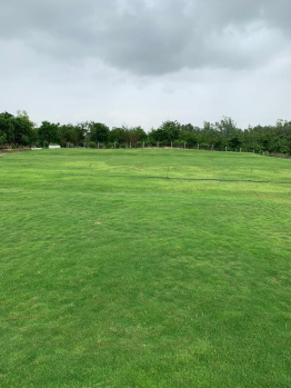 4 Bigha Agricultural/Farm Land for Sale in Shahpura, Jaipur