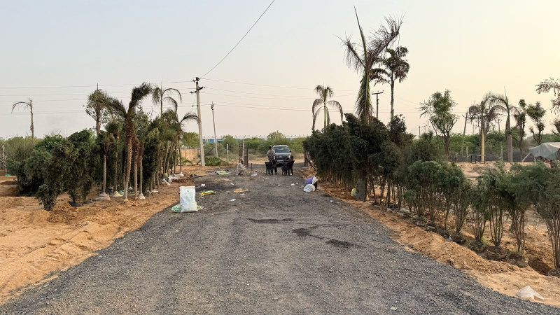 100 feet sector Road JDA comercial plot