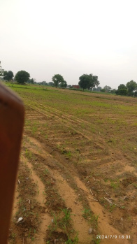 1625 Sq. Yards Agricultural/Farm Land for Sale in Naugaon, Alwar