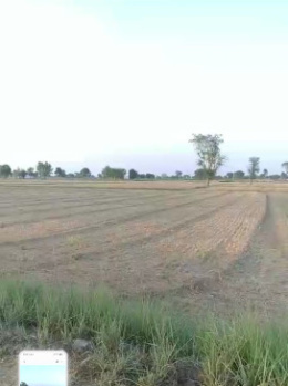 Farm House For Sale In Govindgarh, Alwar (23 Bigha)
