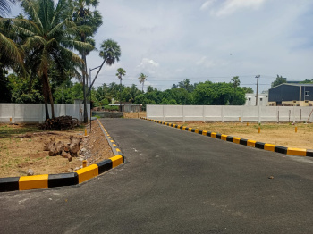 PATTIPULAM SRINIVASA PALMS STEPSSTONE