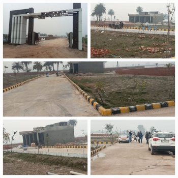 100 Sq. Yards Residential Plot for Sale in New Colony Extension, Palwal (200 Sq. Yards)