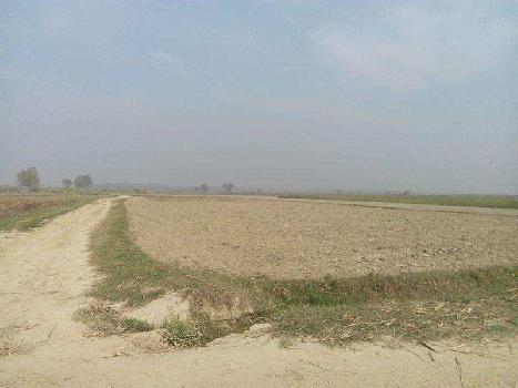 Residential Plot for Sale in Panchkula (500 Sq. Yards)