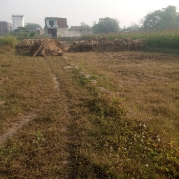 100 Sq.ft. Residential Plot for Sale in Jawan, Aligarh