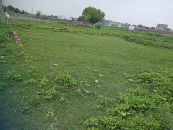 1 Bigha Agricultural/Farm Land for Sale in Chharra Rafatpur, Aligarh