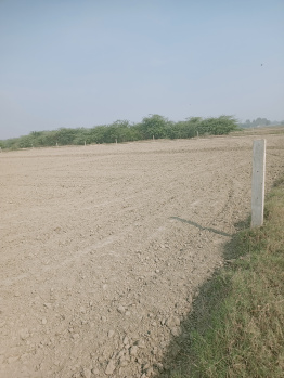 1000 Sq.ft. Residential Plot for Sale in Jawan, Aligarh