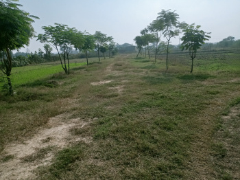 20000 Sq.ft. Residential Plot for Sale in Manjoor Garhi, Aligarh