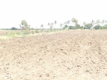 Property for sale in Jath, Sangli
