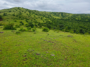 Property for sale in Kadegaon, Sangli