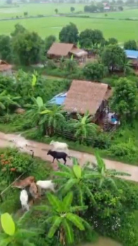 Property for sale in Dapoli, Ratnagiri
