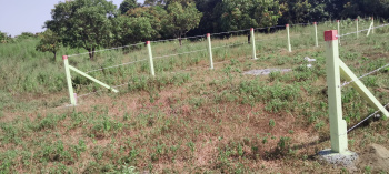 2500 Sq.ft. Agricultural/Farm Land for Sale in Udvada, Valsad