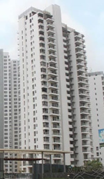 4 BHK Flats & Apartments for Sale in Sector 54, Gurgaon (3000 Sq.ft.)