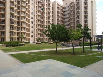 3.5 BHK Flats & Apartments for Sale in Sector 84, Faridabad (1180 Sq.ft.)