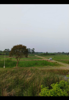 Residential plot sale Thakurpukur and Joka Area