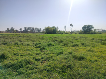 30 Acre Industrial Land / Plot for Sale in SIDCO Industries, Kathua (10 Acre)