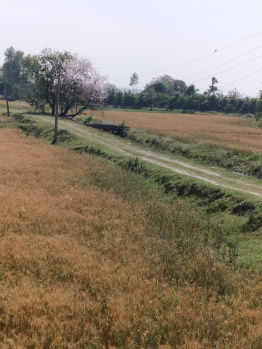 20 Ares Industrial Land / Plot for Sale in Bari Brahmana, Jammu