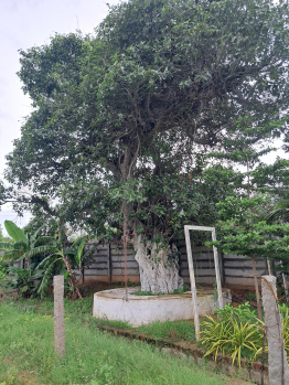500 Sq. Yards Agricultural/Farm Land For Sale In Balanagar, Mahbubnagar