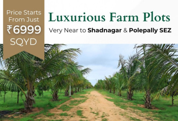 1000 Sq. Yards Agricultural/Farm Land for Sale in Balanagar, Mahbubnagar