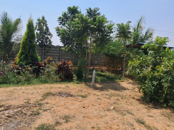 500 Sq. Yards Agricultural/Farm Land for Sale in Balanagar, Mahbubnagar