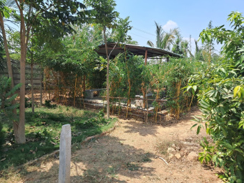 400 Sq. Yards Agricultural/Farm Land for Sale in Balanagar, Mahbubnagar