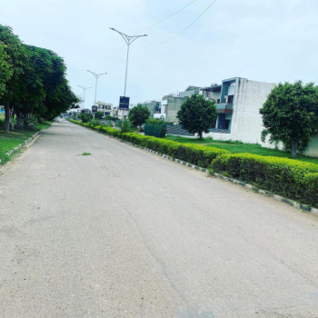Residential Plot for Sale in Sector 117, Mohali (256 Sq. Yards)