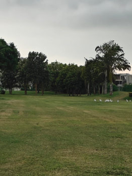 Residential Plot for Sale in Sector 109, Mohali (500 Sq. Yards)