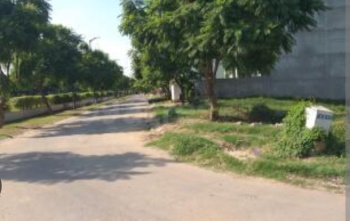 Residential Plot for Sale in Kharar Landran Road, Mohali (180 Sq. Yards)