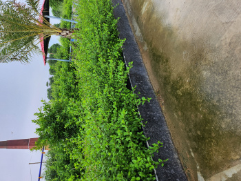 Property for sale in Rukmani Vihar, Mathura