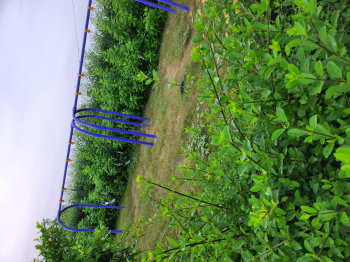 Property for sale in Rukmani Vihar, Mathura