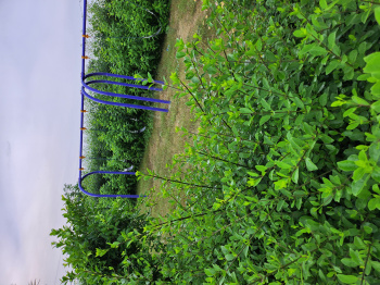 Property for sale in Rukmani Vihar, Mathura