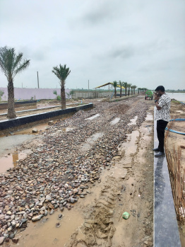 Residential Plot for Sale in Chhata, Mathura (1350 Sq.ft.)