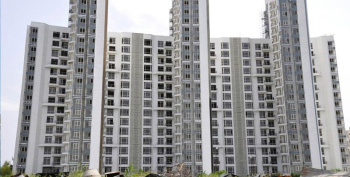 Golf Facing 3BHK Servant Apartment For Sale In Jaypee Greens Greater Noida