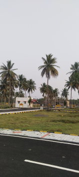 Residential Plot for Sale in Thiruporur, Chennai (909 Sq.ft.)