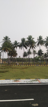 Property for sale in Thiruporur, Chennai