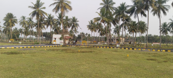 Residential Plot for Sale in Thiruporur, Chennai (1291 Sq.ft.)